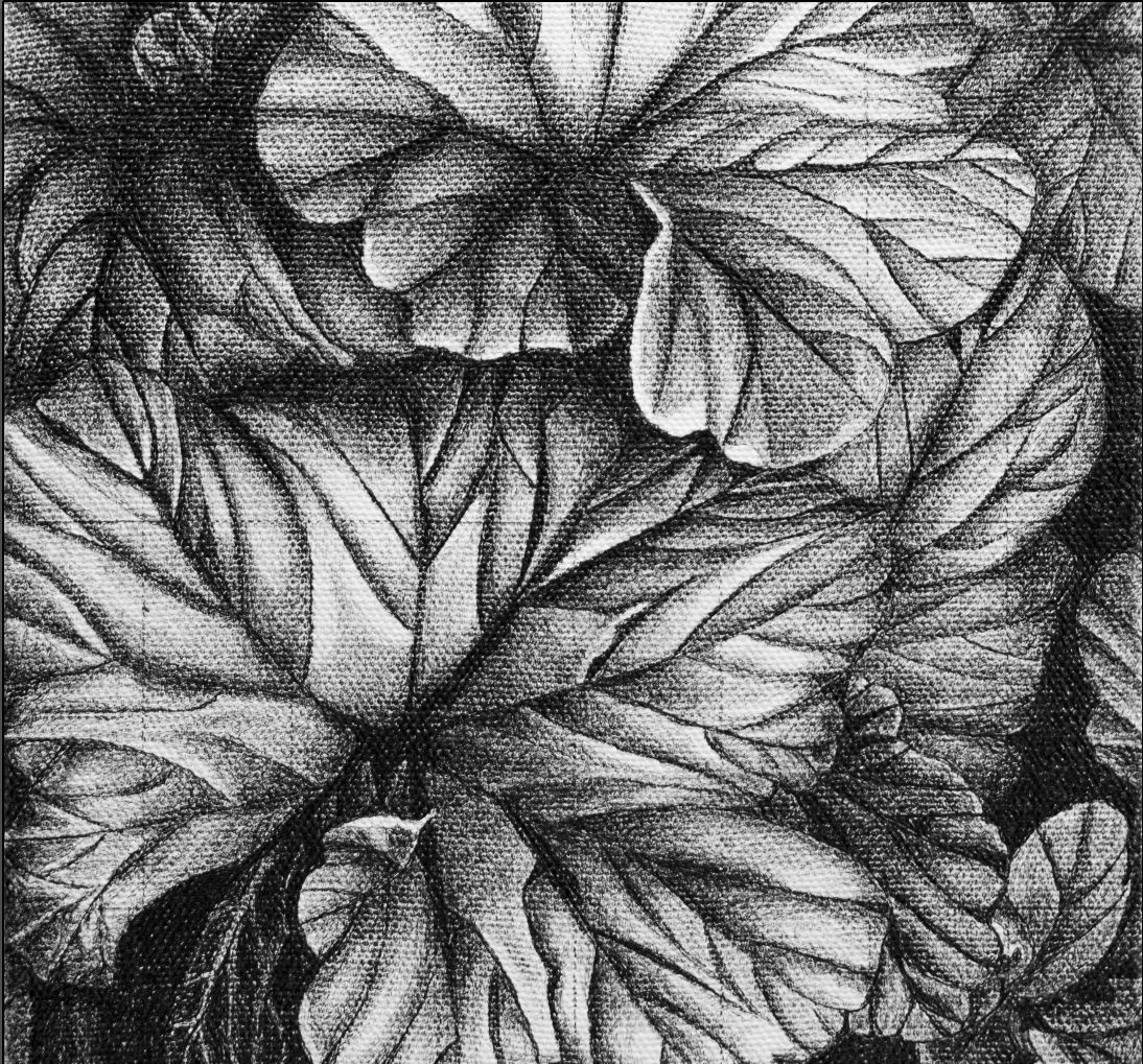 Exposición "Manual para extinguir lo intacto" en Tierra Baldía hasta el 30 de agosto 1