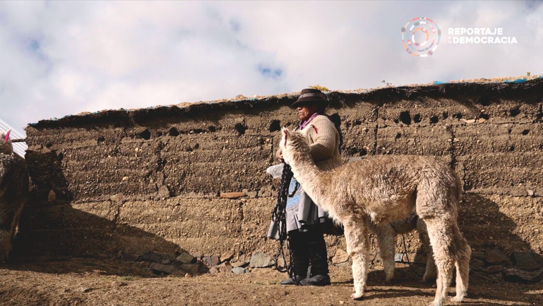 Reportaje a la Democracia