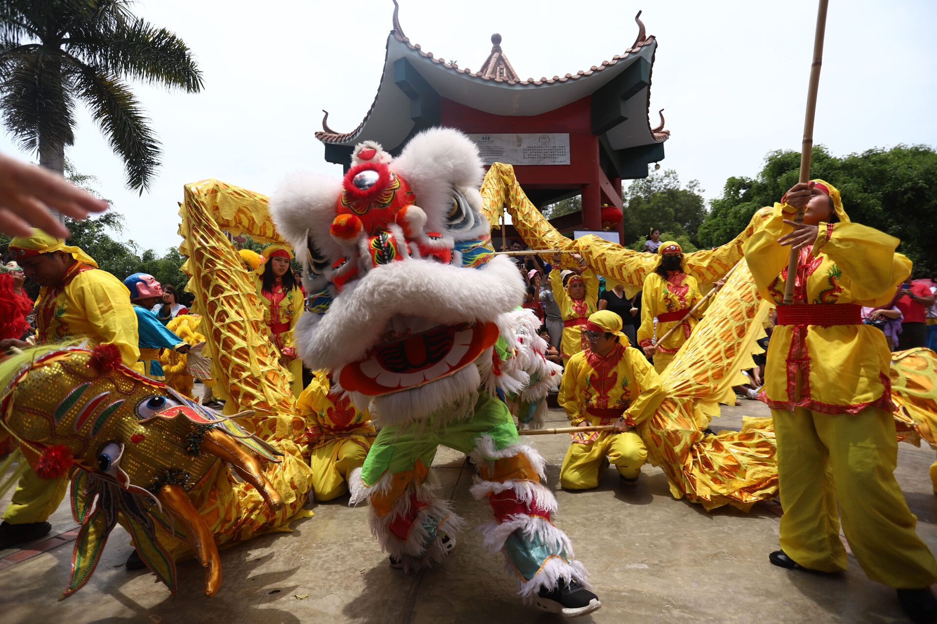 1. Ano Nuevo Chino Instituto Confucio 173