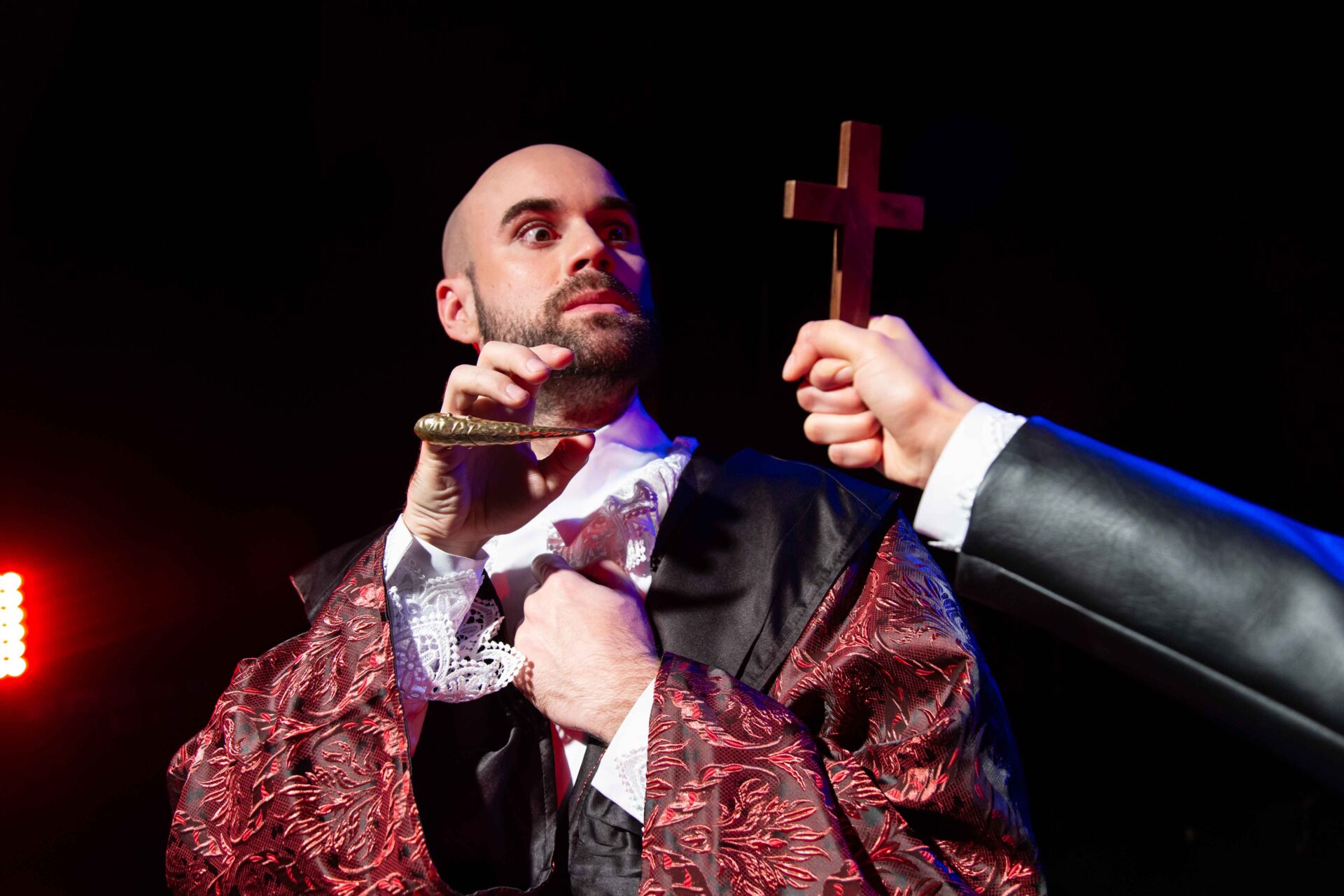 Dracula the bloody truth 22