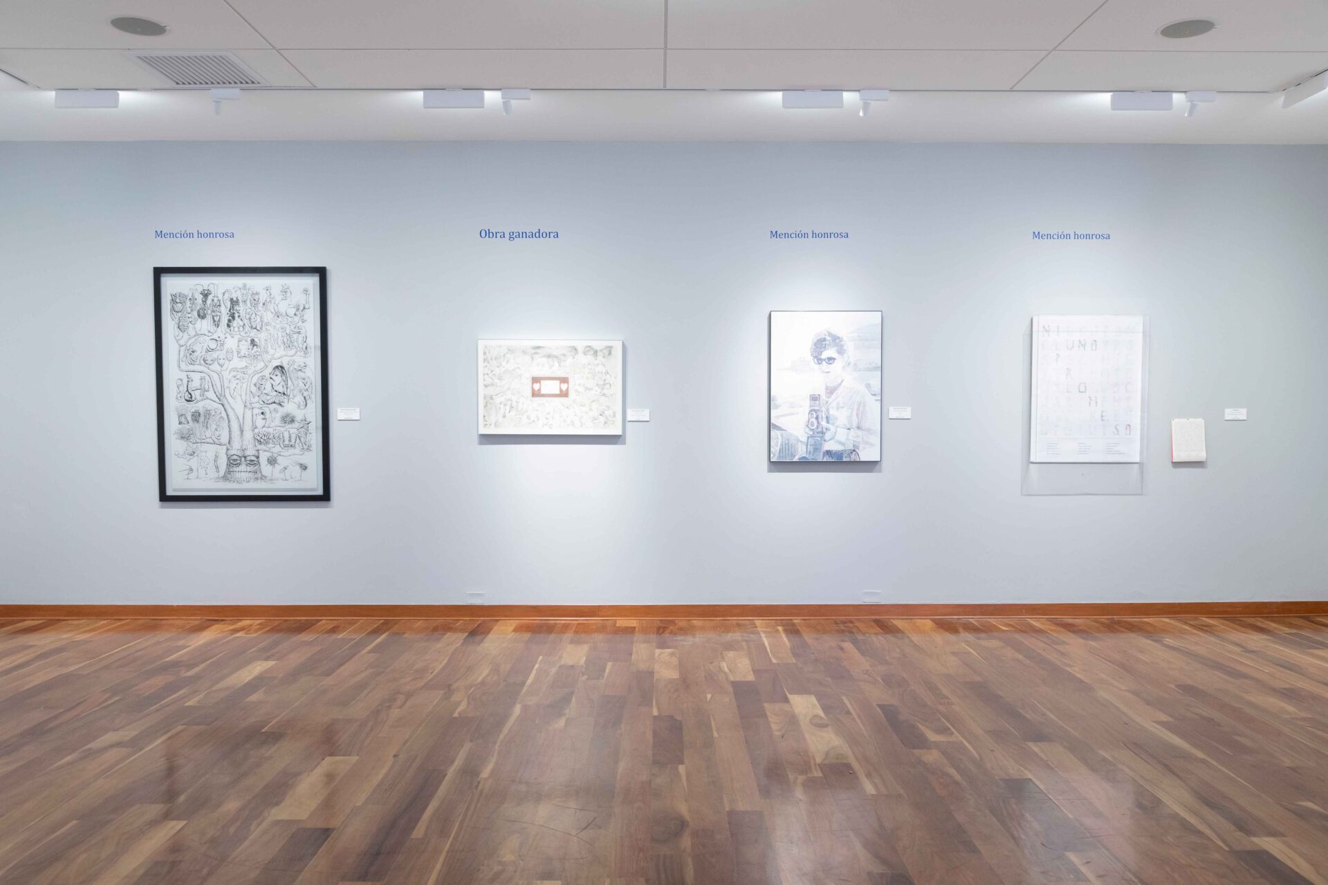 Nuevas miradas del dibujo se exhiben en la Galería John Harriman 1 6to Concurso de dibujo Jovenes valores 1