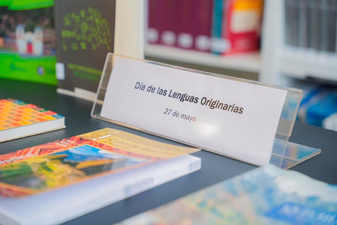 lenguas originarias 2