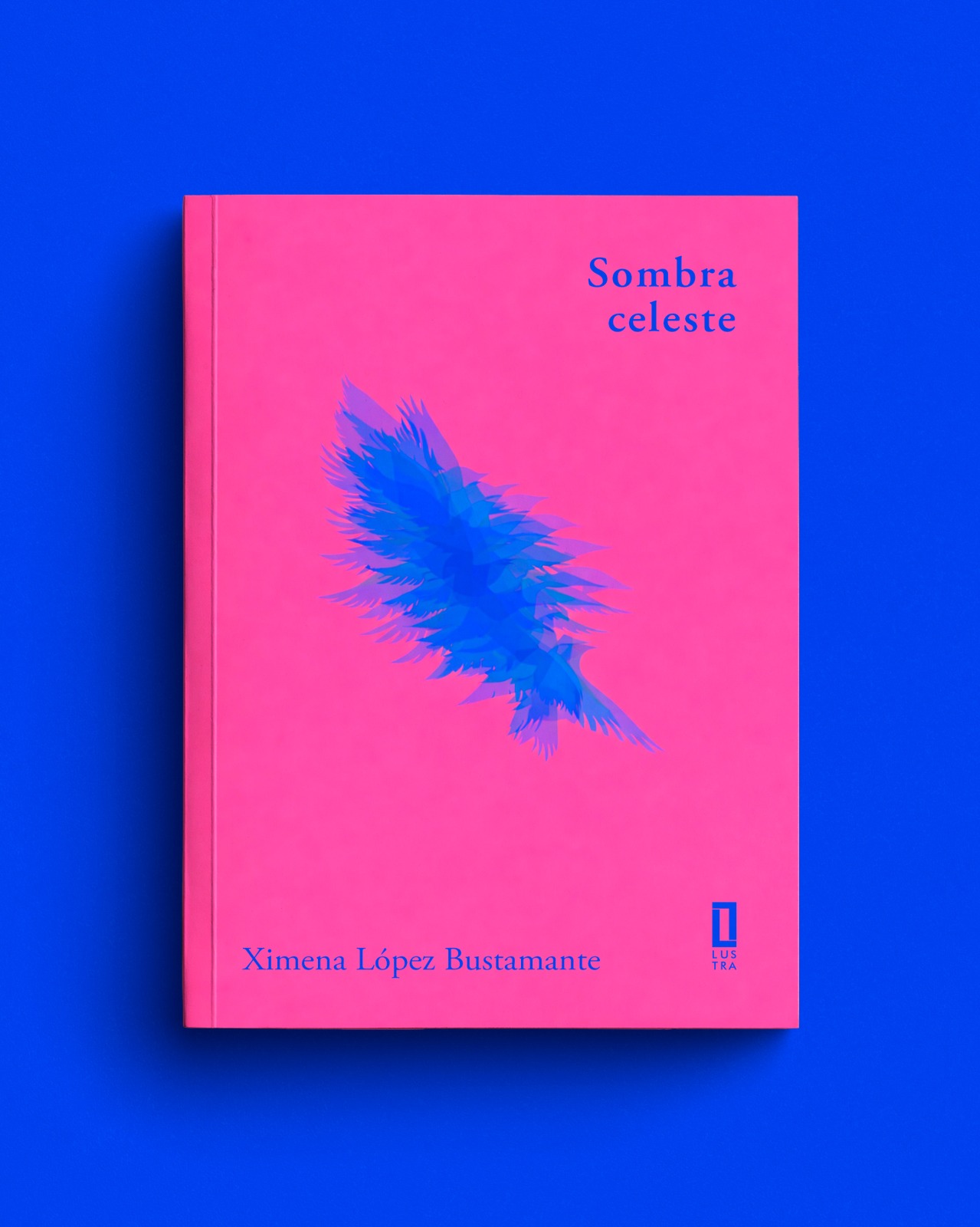sombra celeste XImena Lopez Bustamante