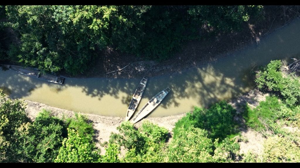 El documental Tierra roja nos sumerge en la Amazonia peruana a traves de un enfoque poetico